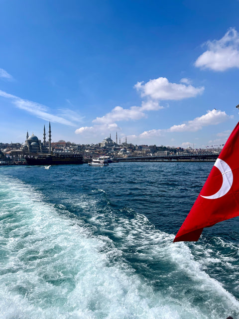 Istanbul Bosporus 